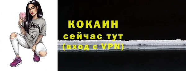 тгк Алексин