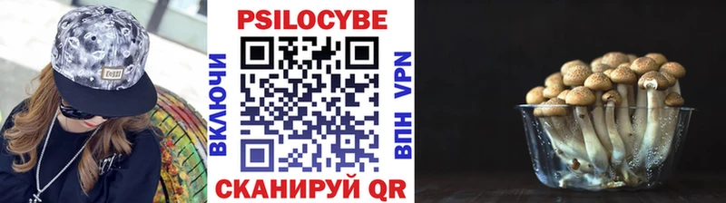 купить наркотики цена  Мантурово  shop Telegram  Галлюциногенные грибы мицелий 